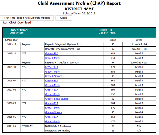 Report Preview