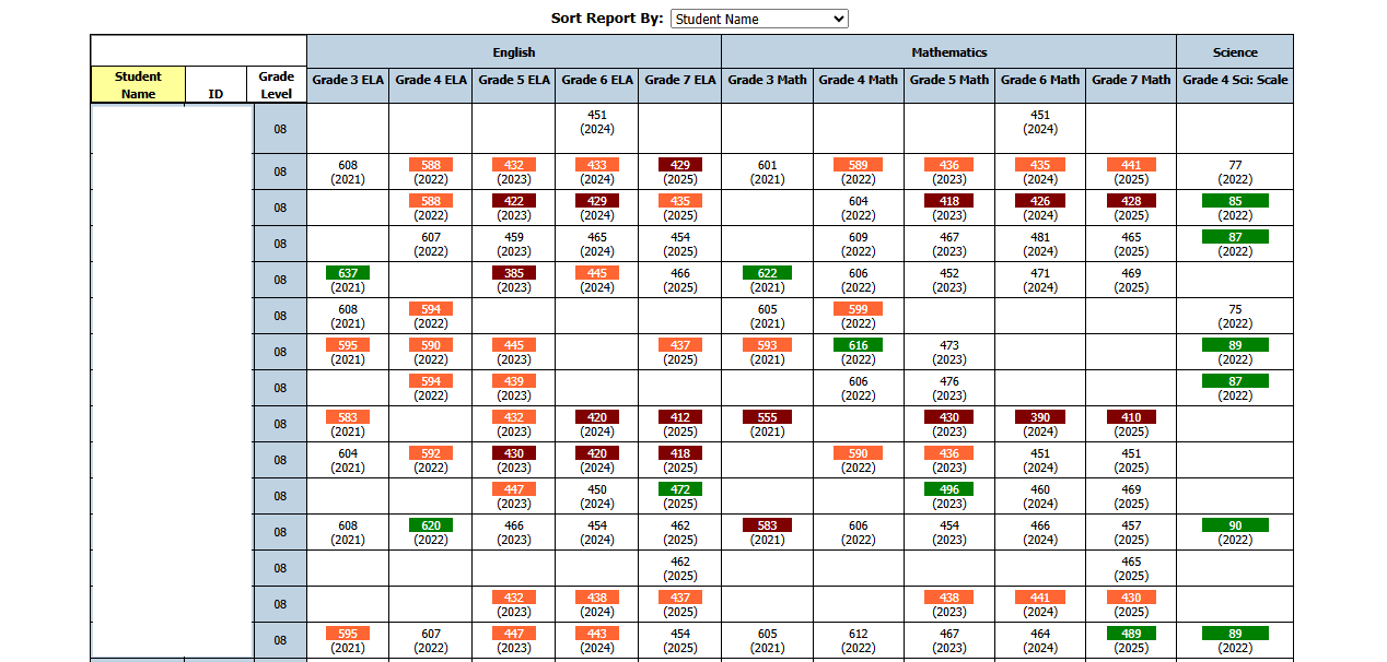 Report Preview