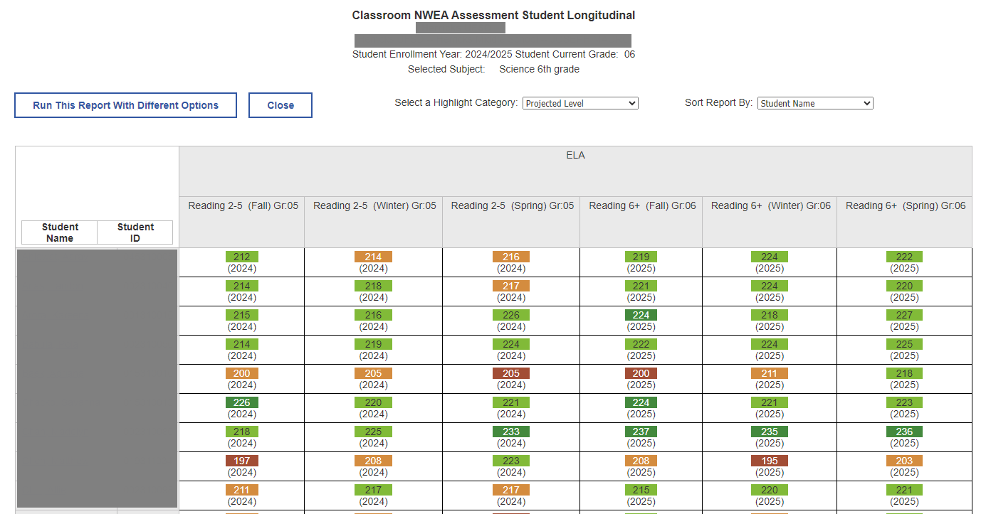 Report Preview