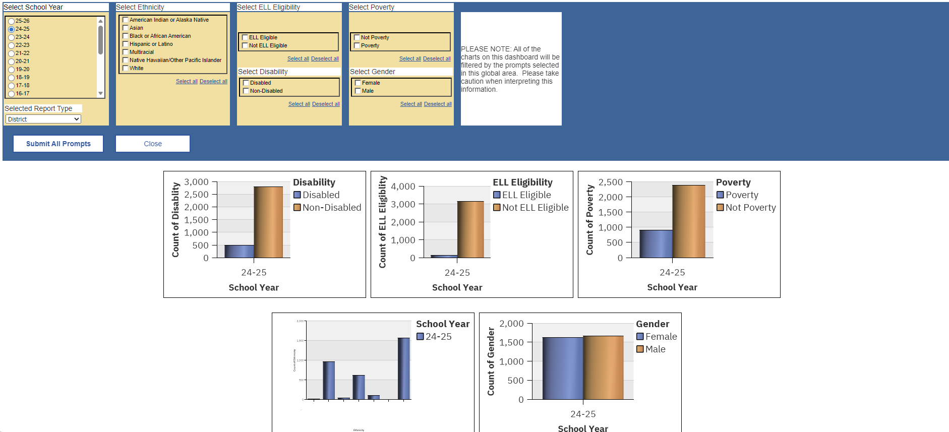 Report Preview