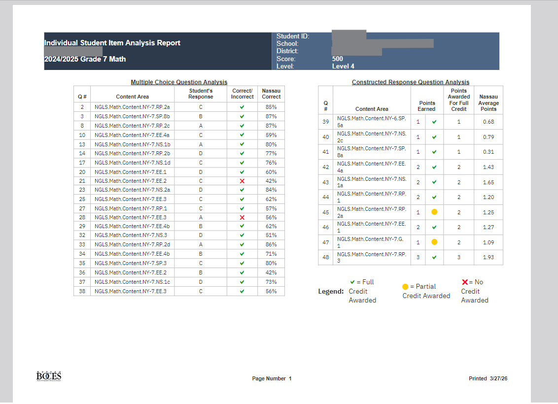 Report Preview