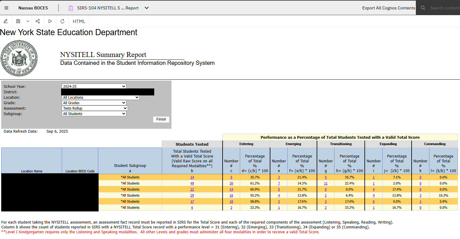 Report Preview