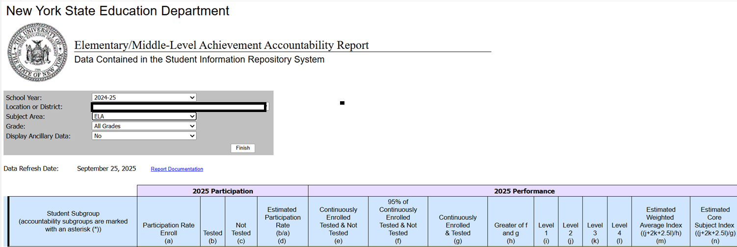 Report Preview