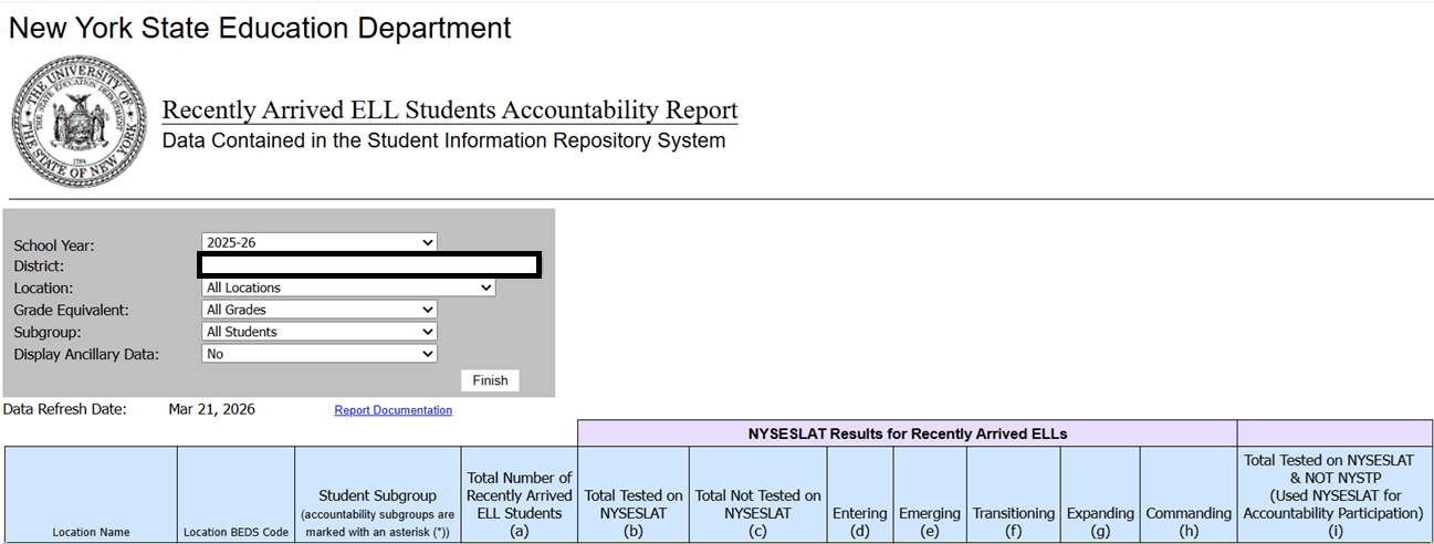 Report Preview