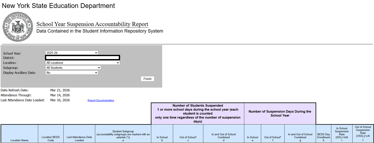 Report Preview