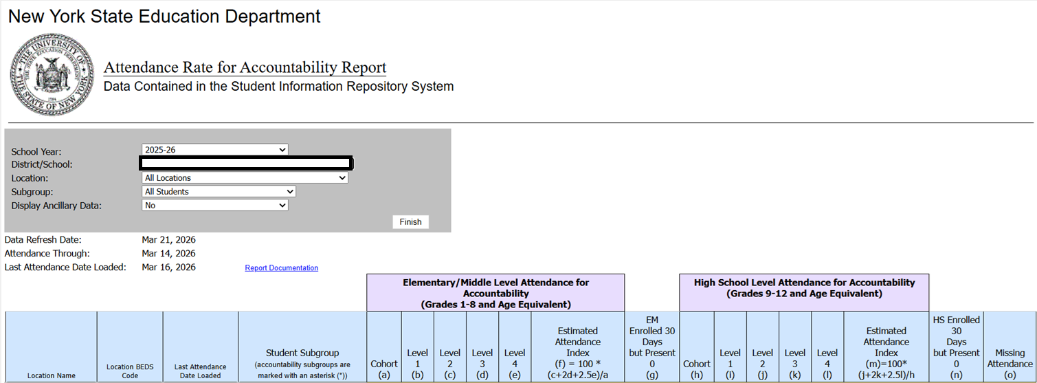 Report Preview