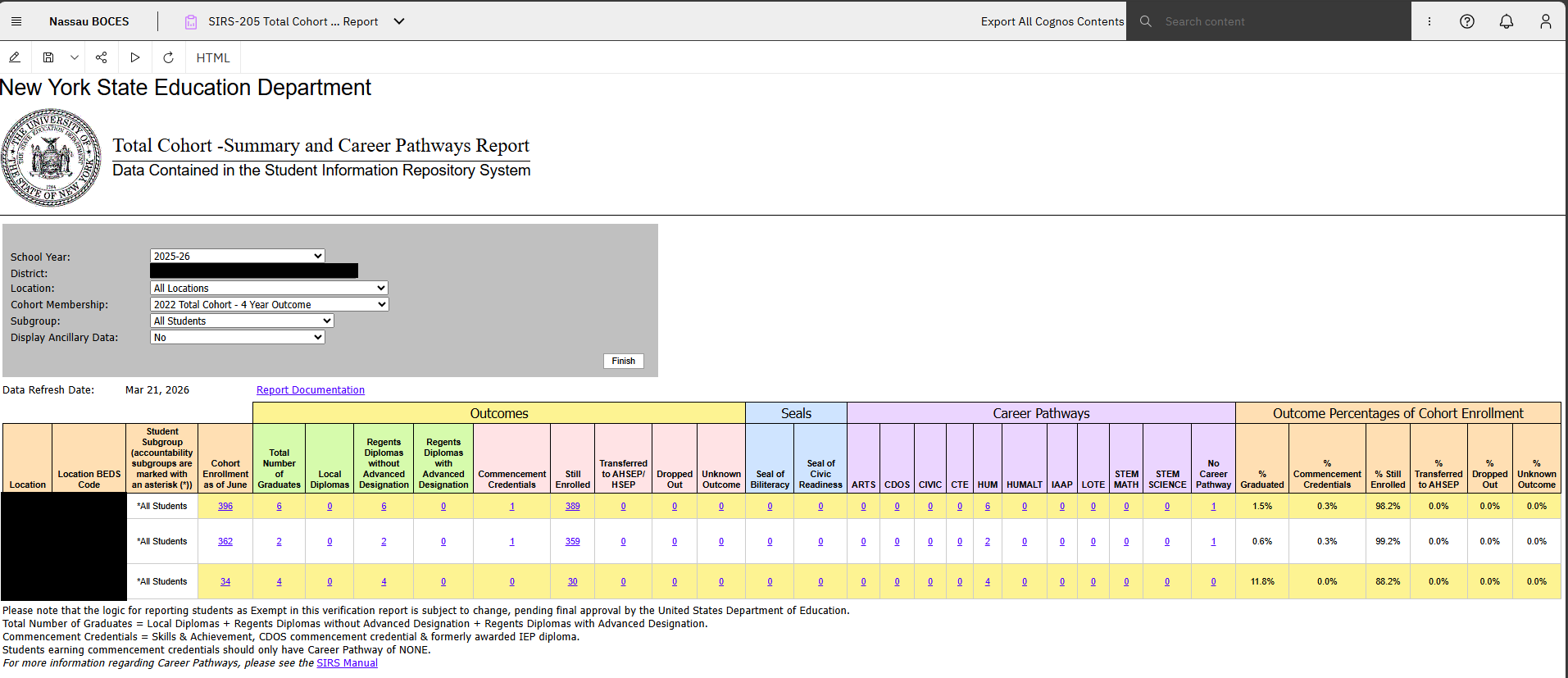 Report Preview