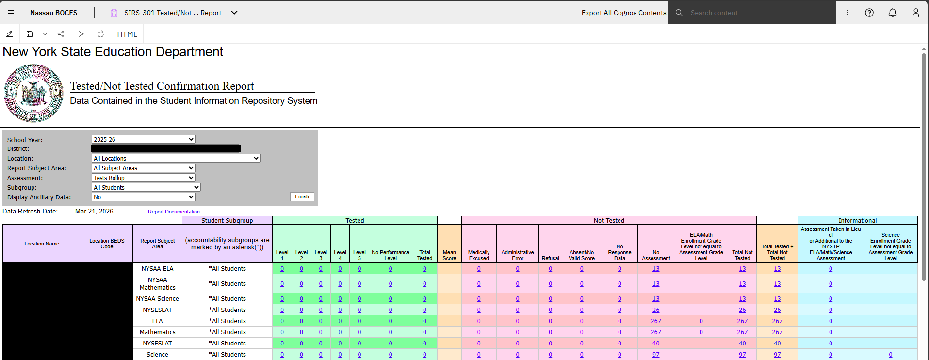 Report Preview