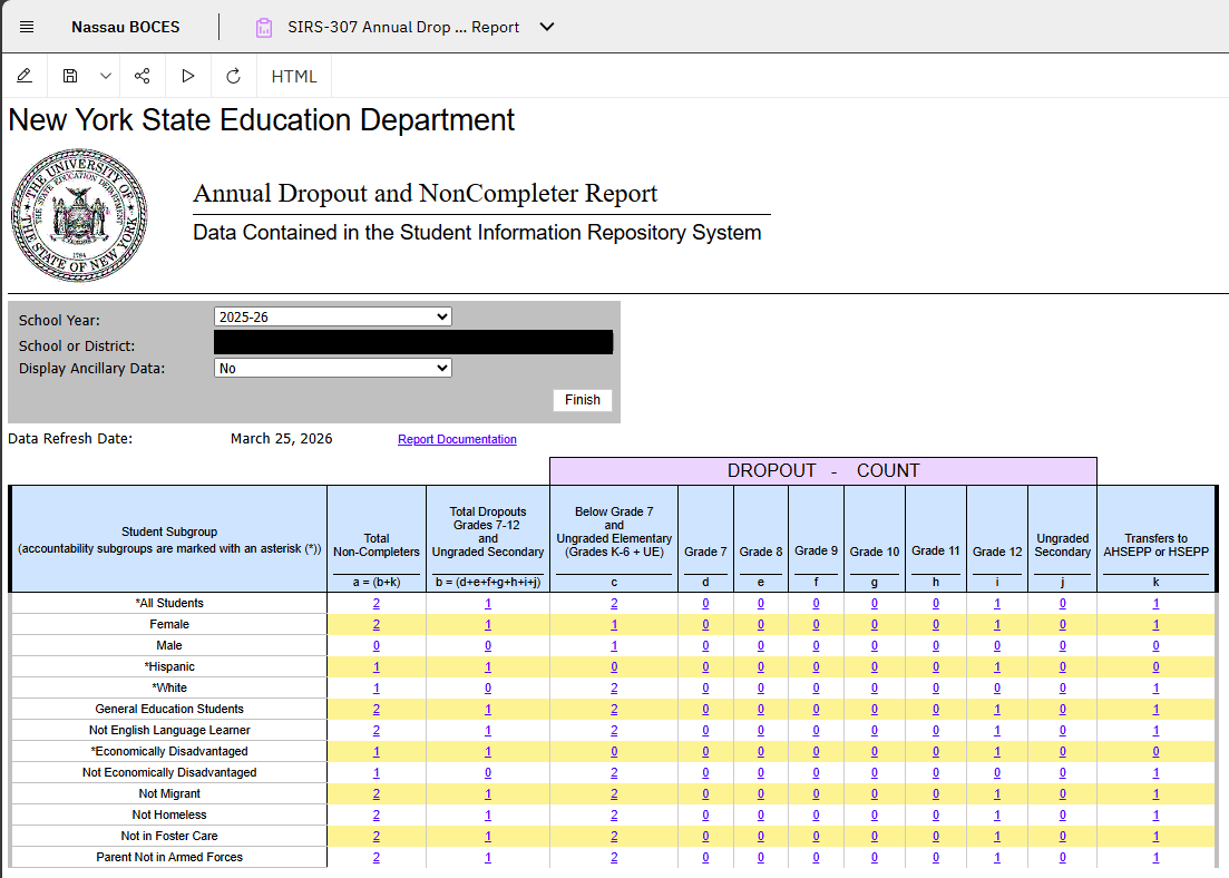 Report Preview