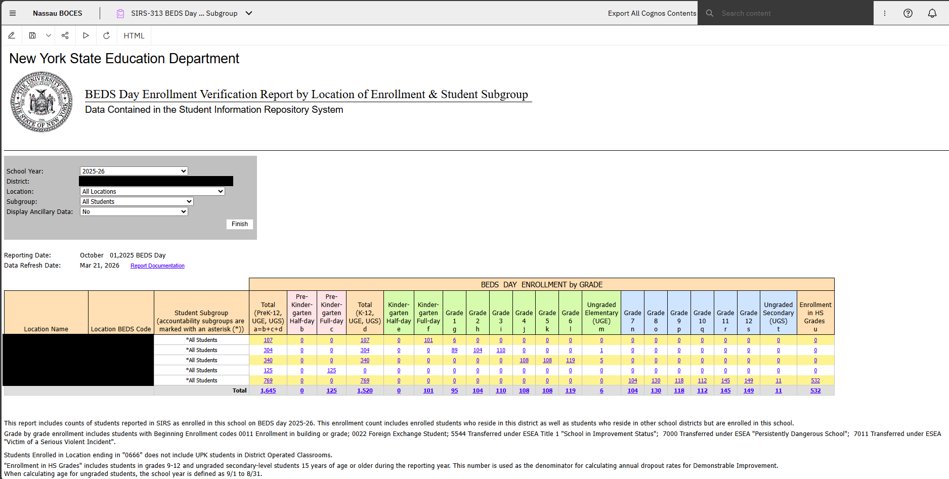 Report Preview