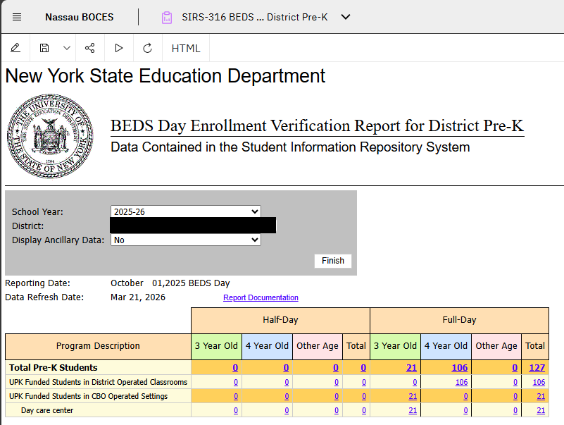 Report Preview