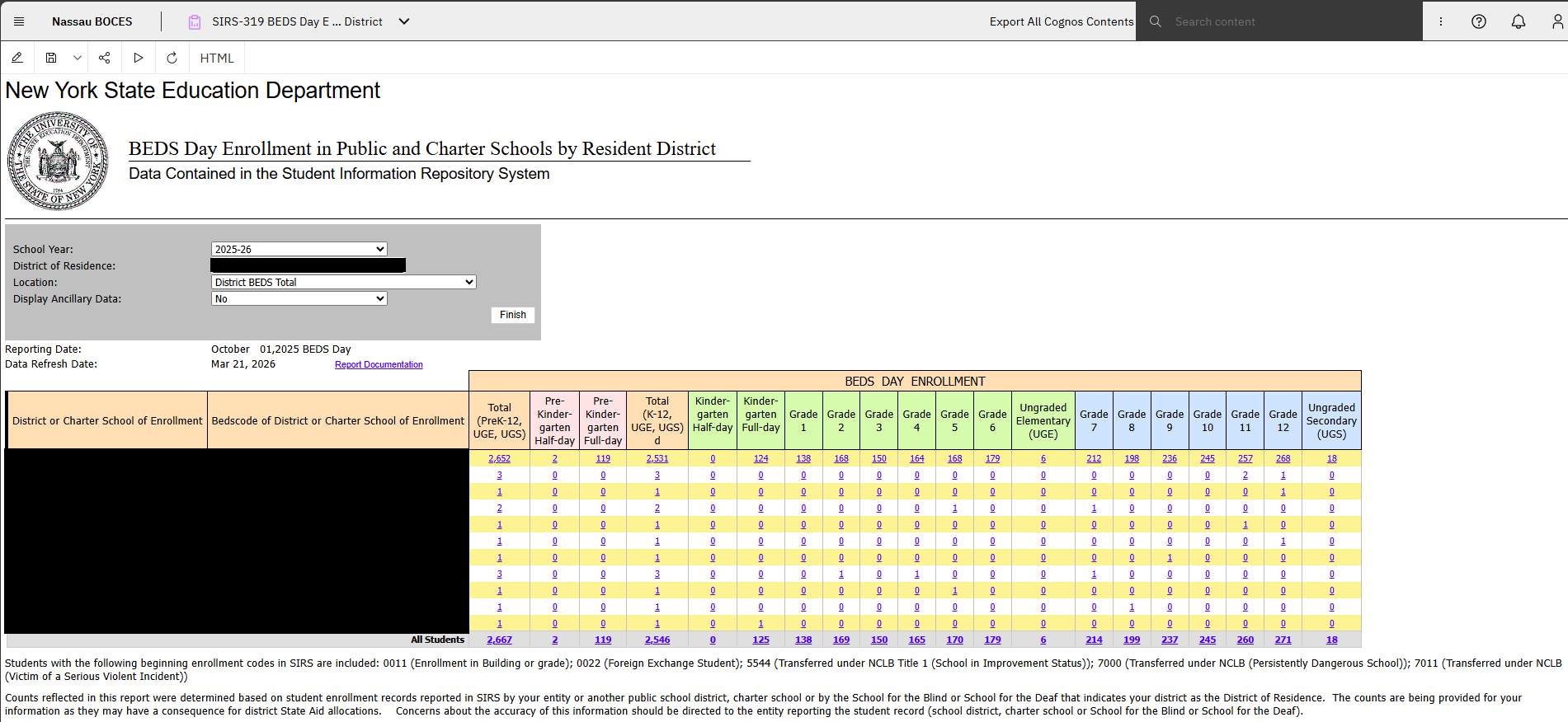 Report Preview