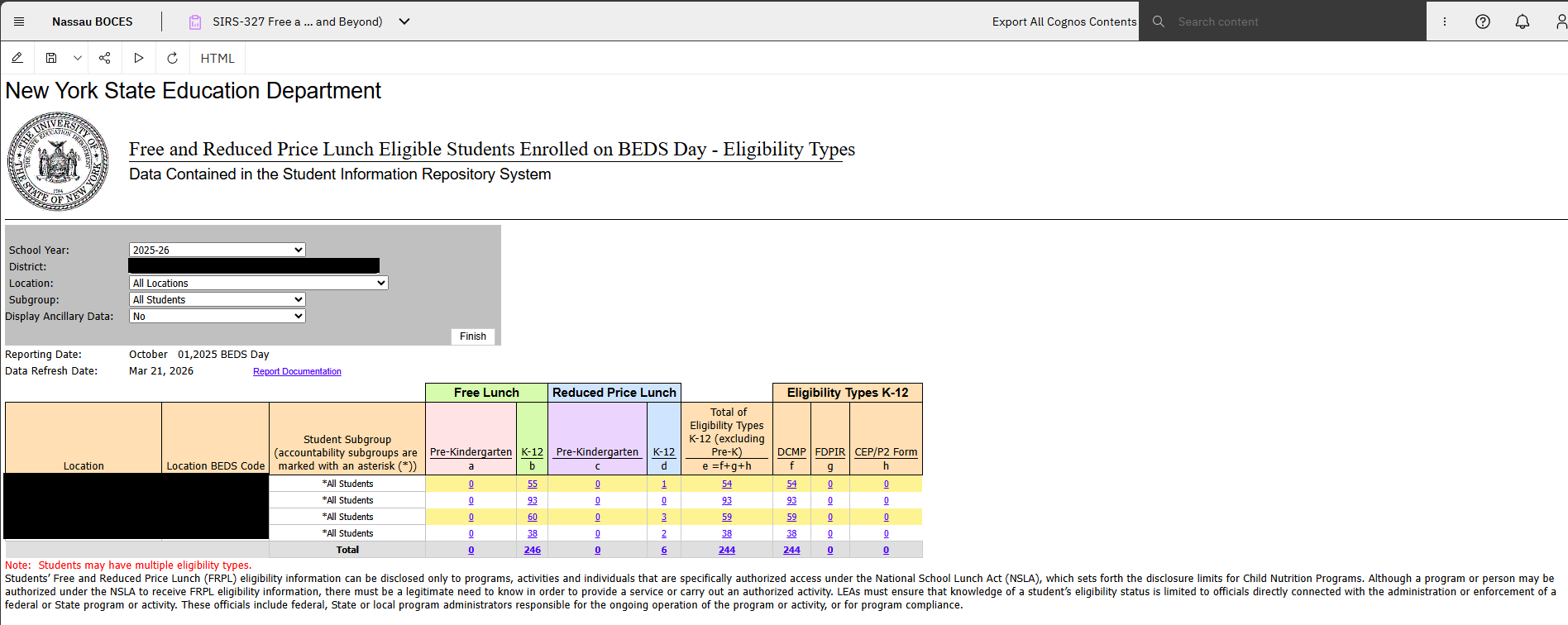 Report Preview