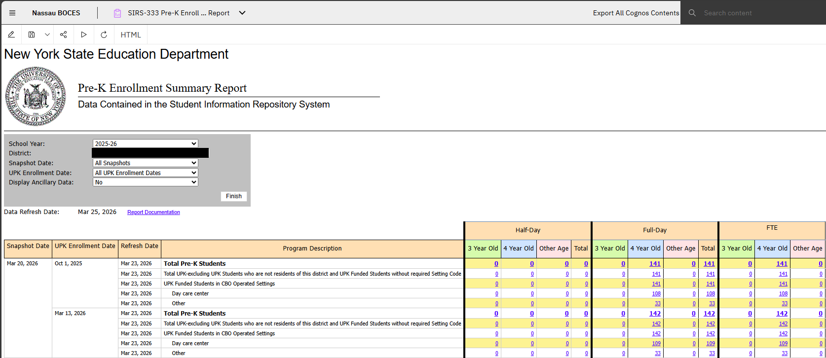 Report Preview