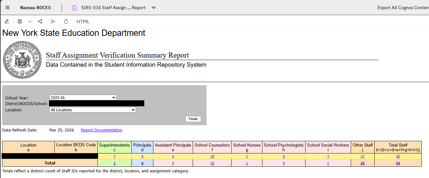 Report Preview