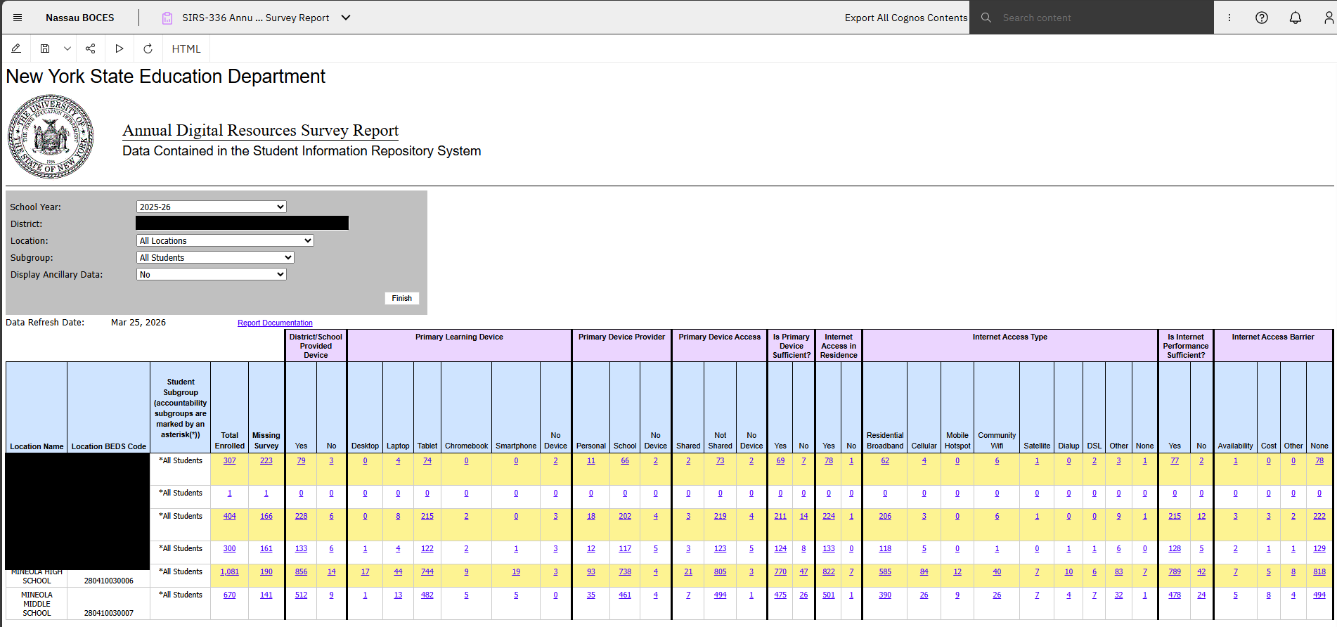Report Preview