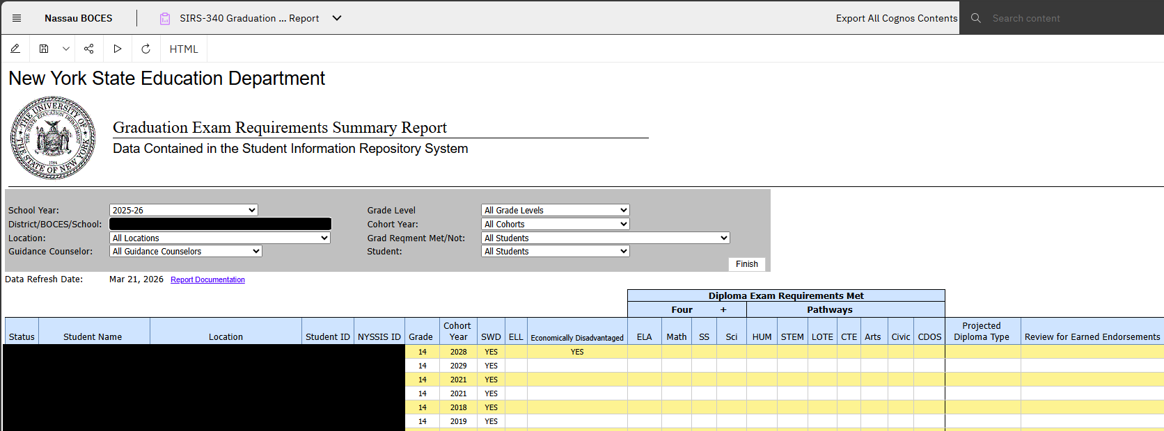 Report Preview