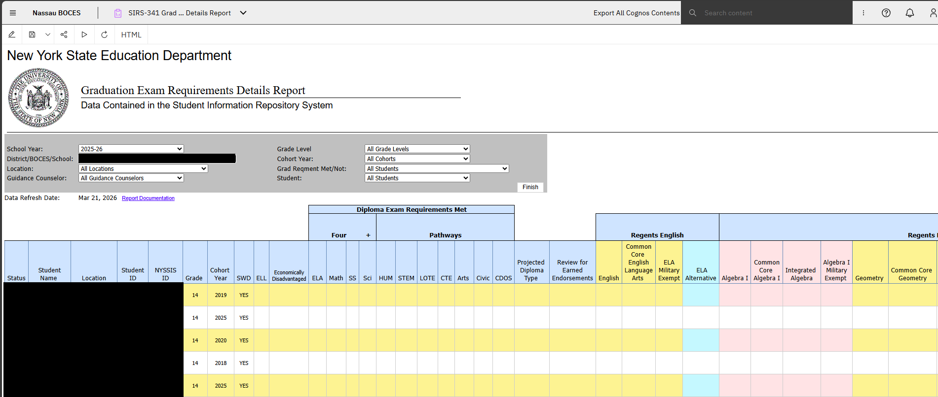 Report Preview