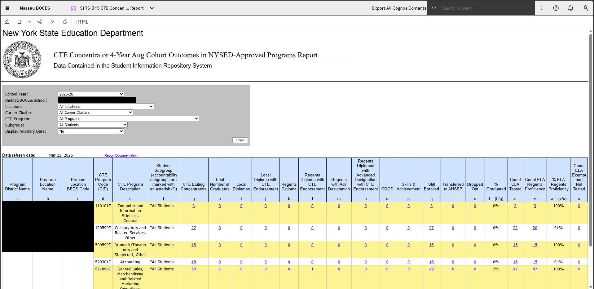 Report Preview