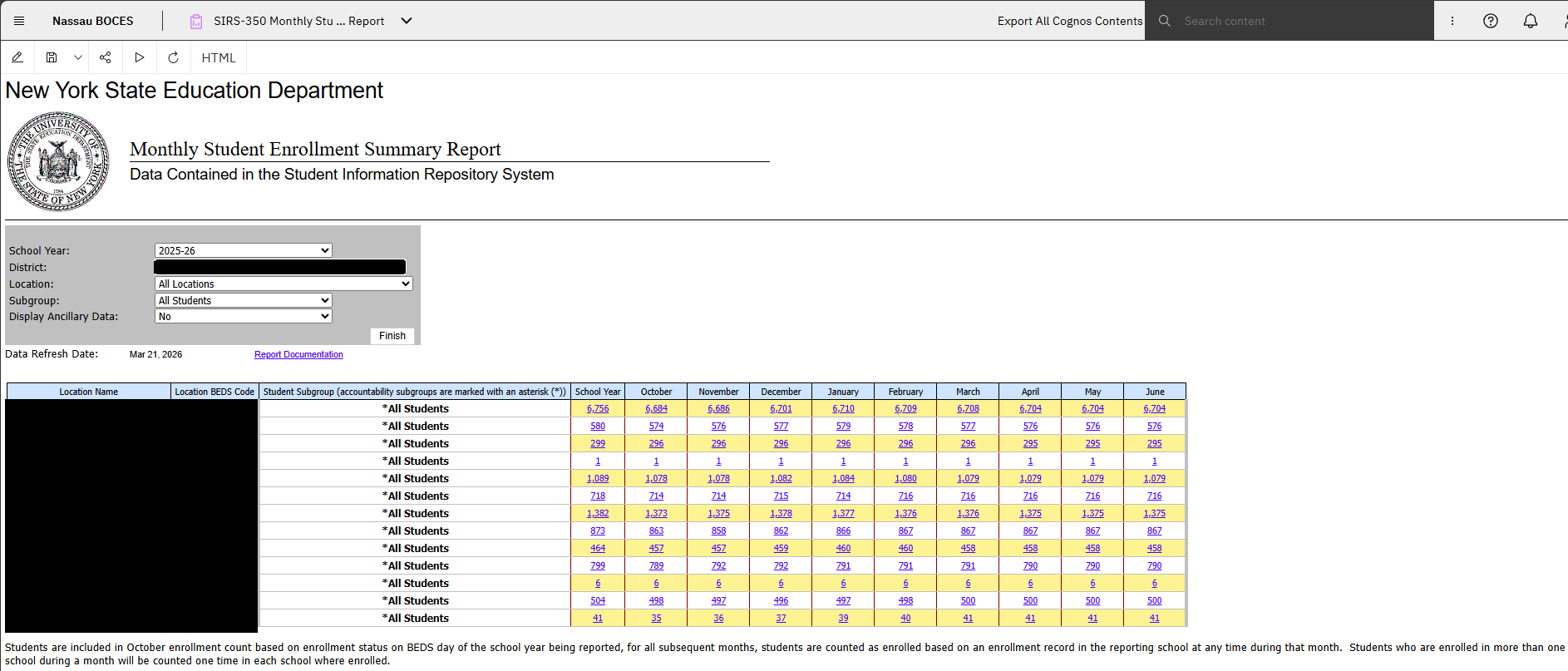 Report Preview