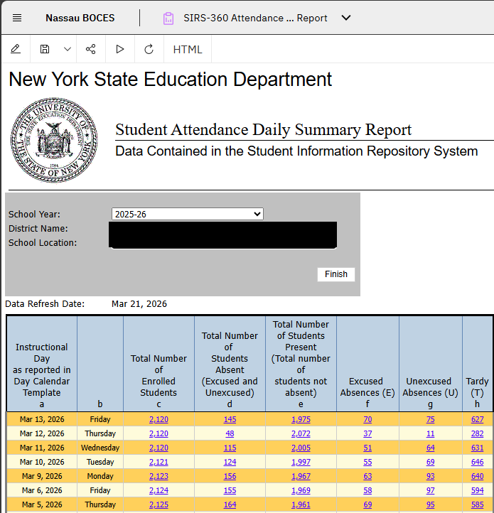 Report Preview