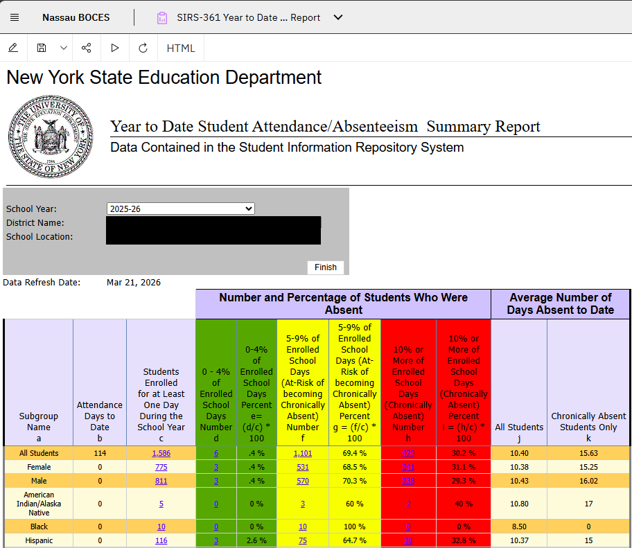 Report Preview