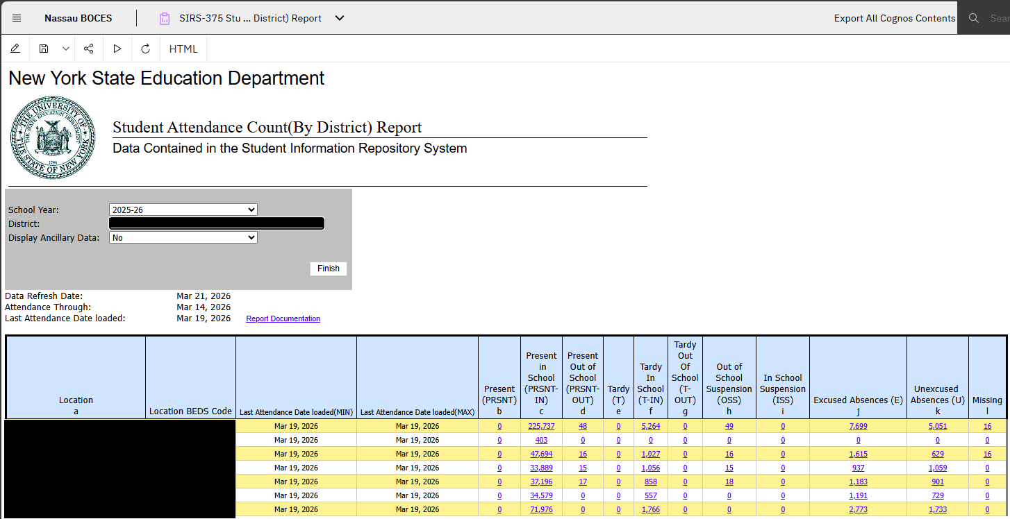 Report Preview