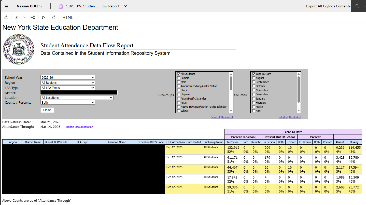 Report Preview