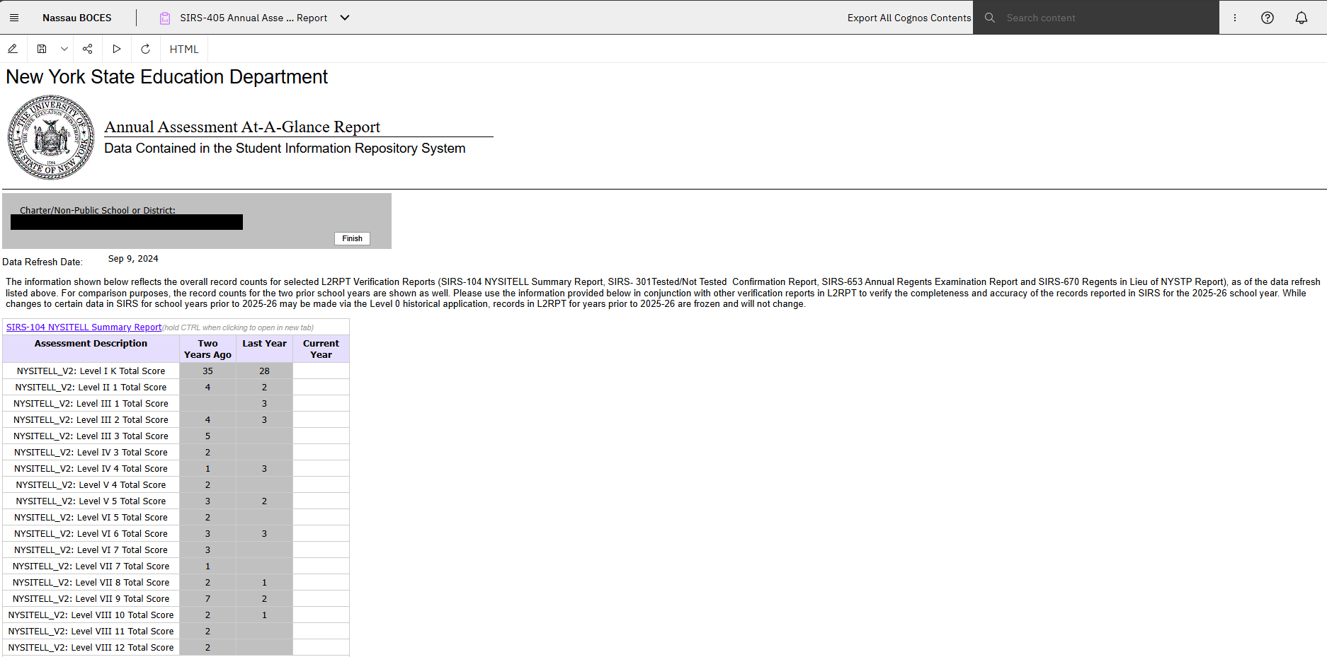 Report Preview