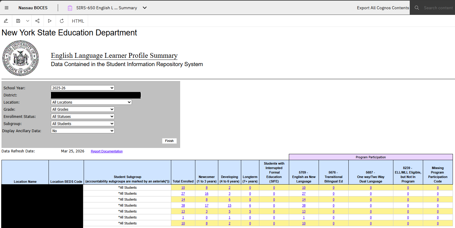Report Preview