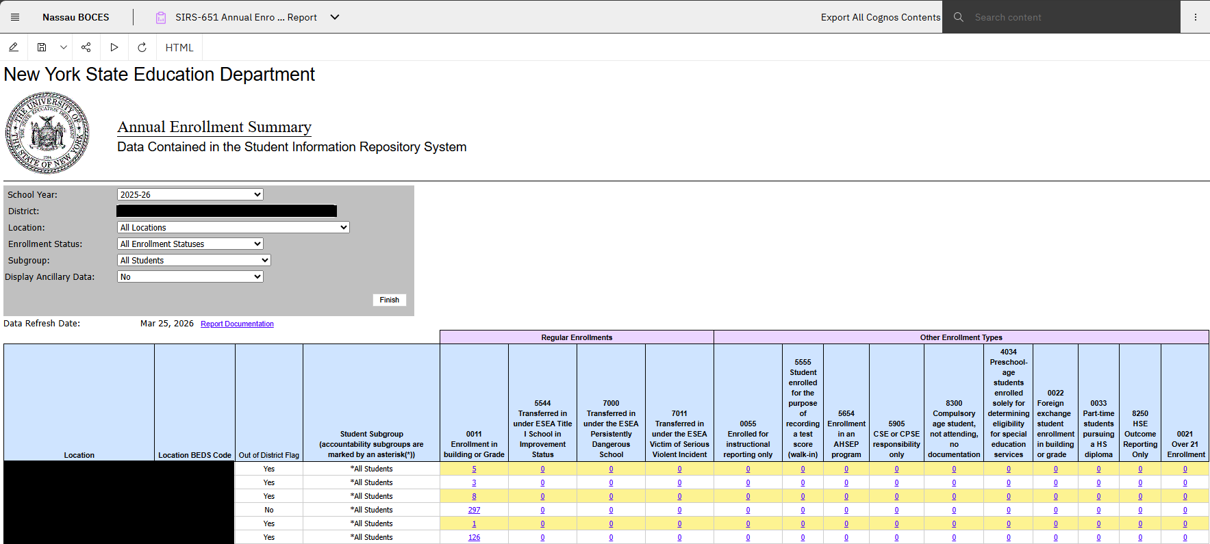 Report Preview
