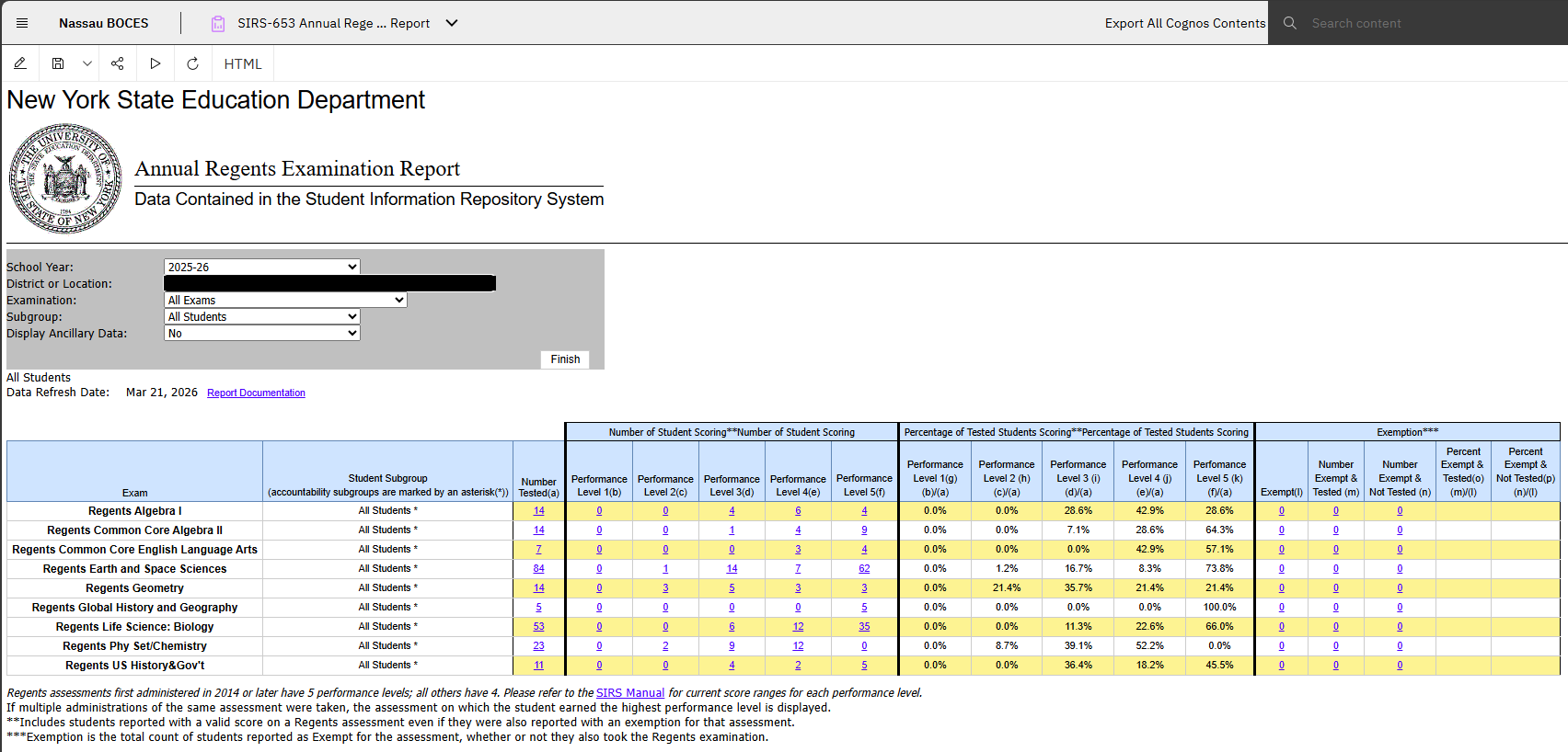 Report Preview