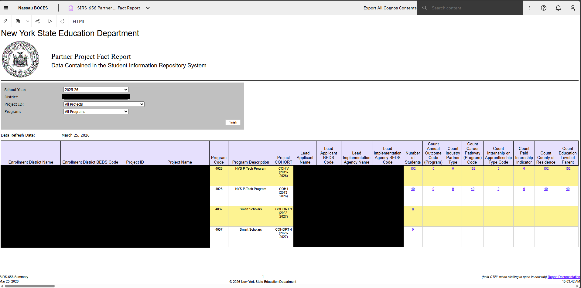 Report Preview