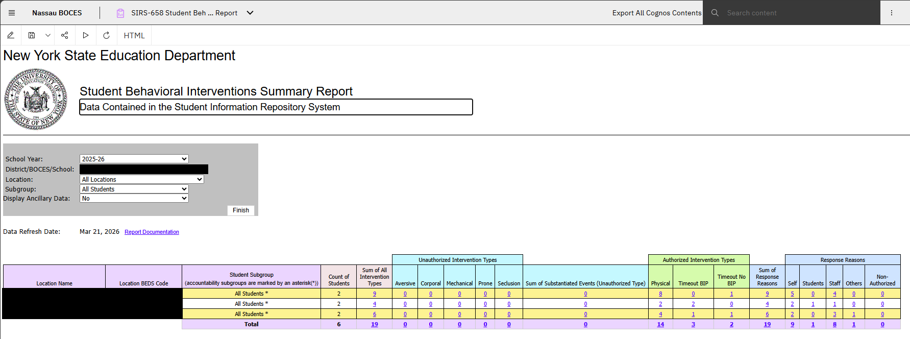 Report Preview