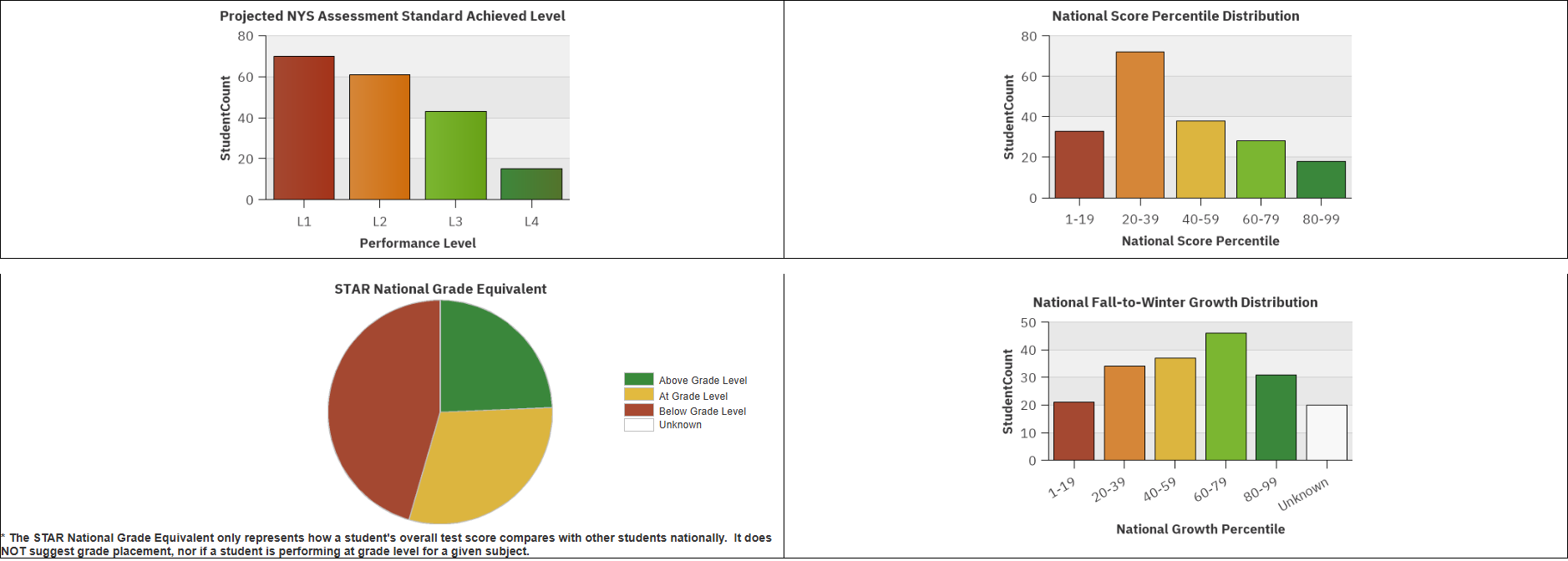 Report Preview