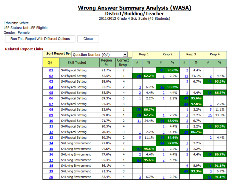 Report Preview